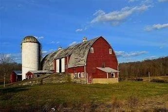 Farm1_4_tn.jpg